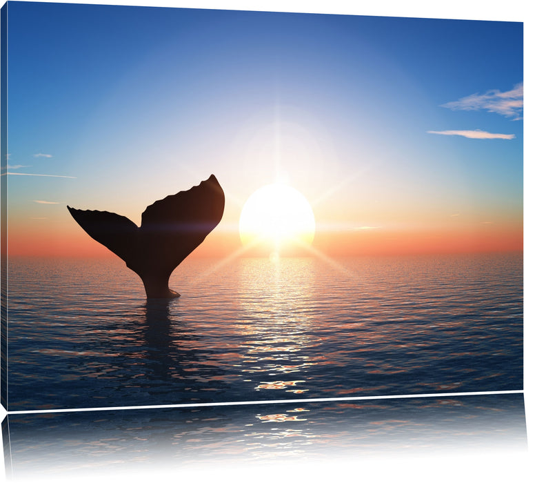 Walflosse im Sonnenuntergang Leinwandbild