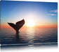 Walflosse im Sonnenuntergang Leinwandbild