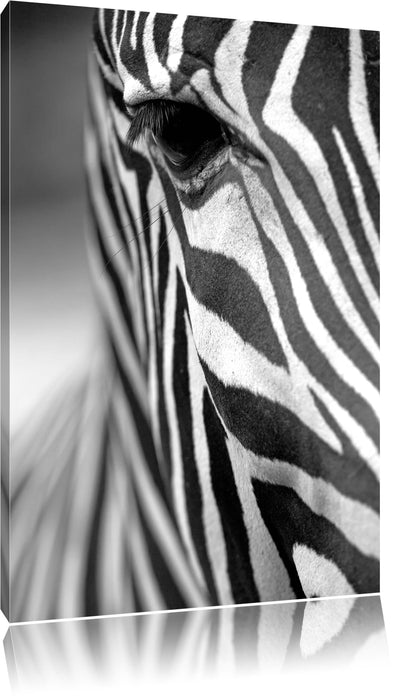 Pixxprint Zebra Nahaufnahme, Leinwandbild