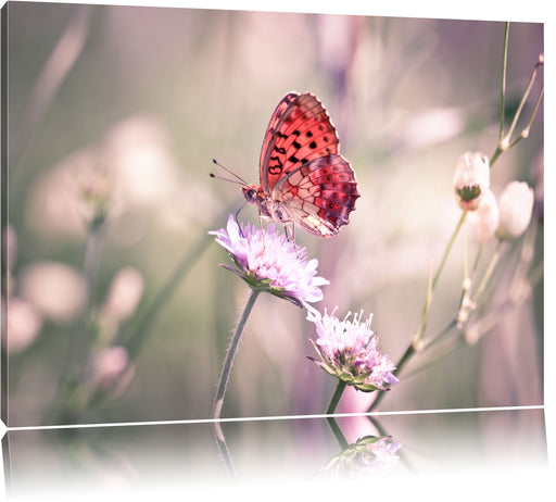 Bezaubernder Schmetterling Leinwandbild