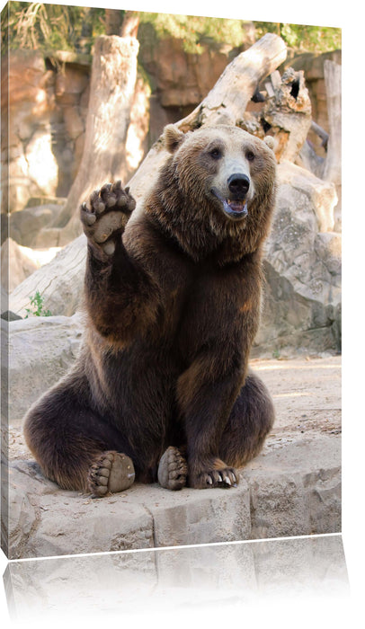 Pixxprint Bär sagt Hallo, Leinwandbild