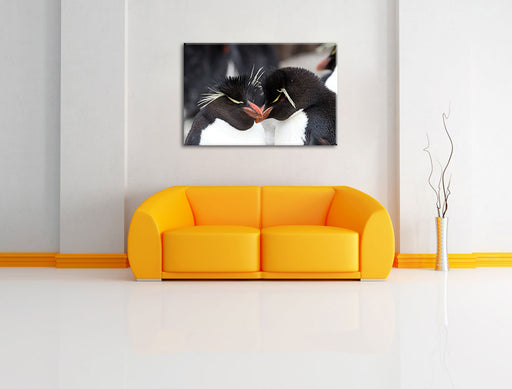 Pinguin Kuss Leinwandbild über Sofa