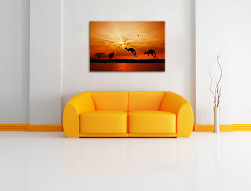 Kängurus im Sonnenlicht Leinwandbild über Sofa
