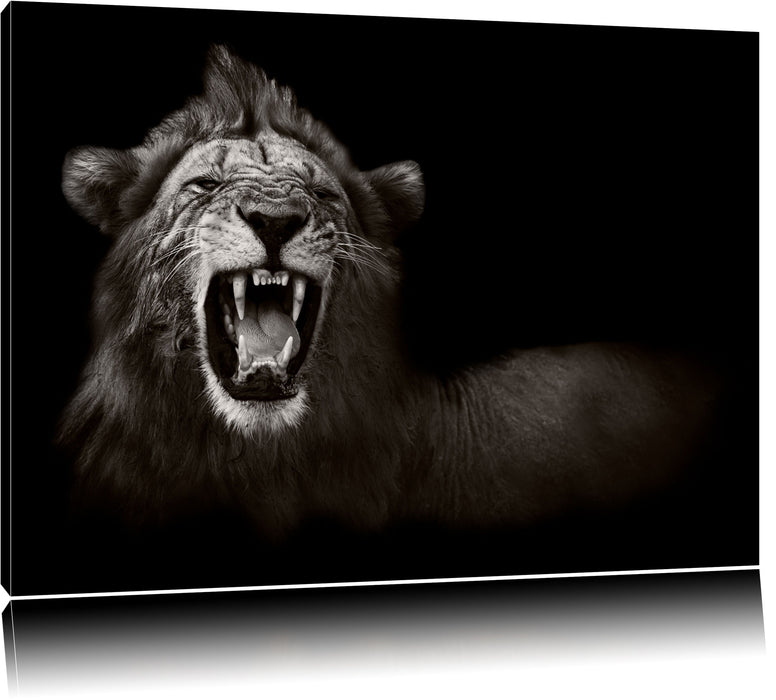 Pixxprint Dark Brüllender Löwe, Leinwandbild