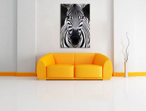 Zebra Porträ Leinwandbild über Sofa
