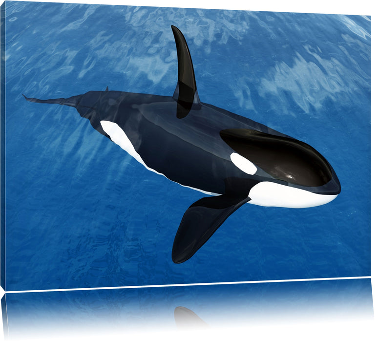 Pixxprint Orca im blauen Meer, Leinwandbild