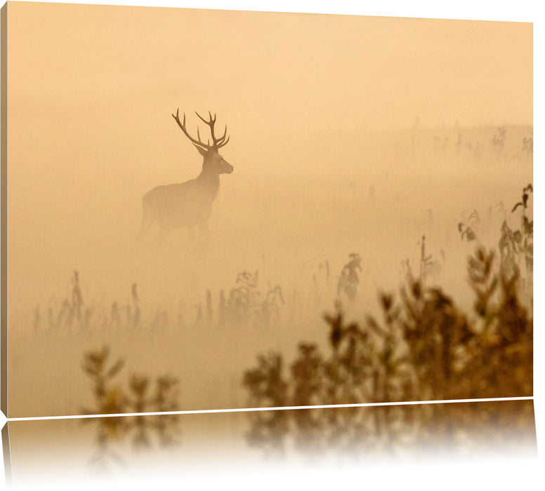 Pixxprint Hirsch im Nebel, Leinwandbild