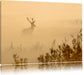 Hirsch im Nebel Leinwandbild