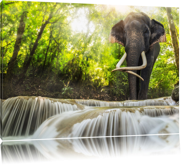 Pixxprint Elefant am Bach, Leinwandbild