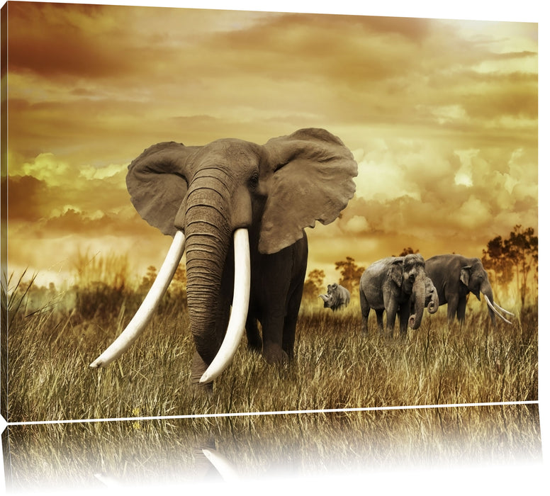 Stolzer Elefant in Savanne Leinwandbild