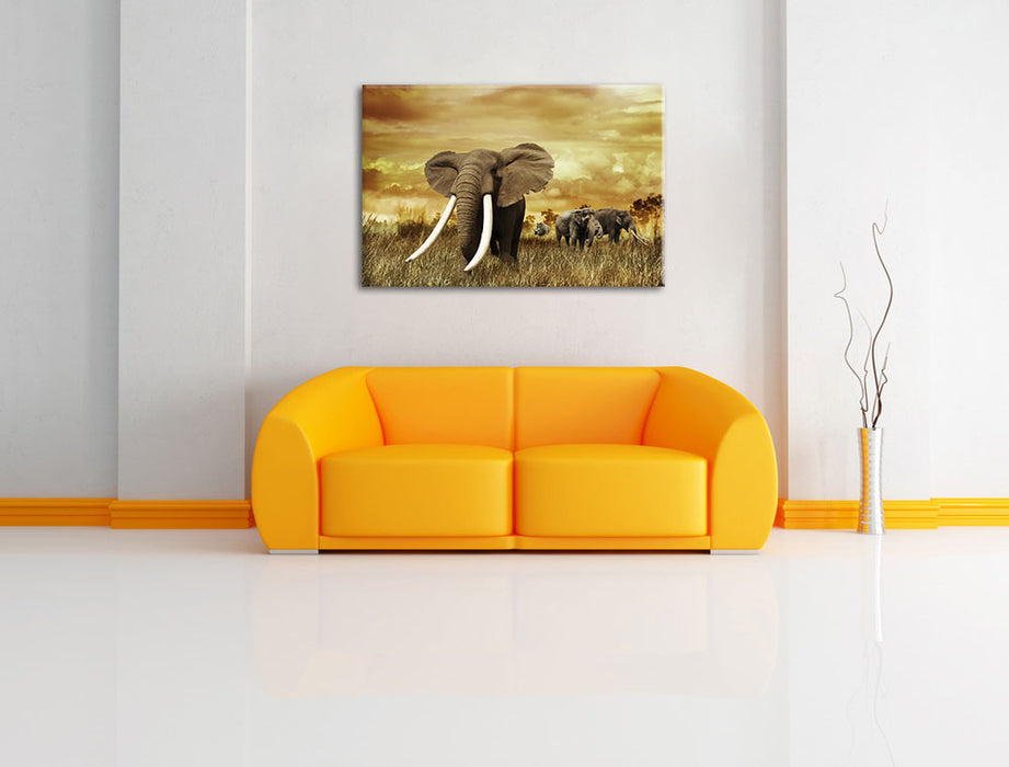Stolzer Elefant in Savanne Leinwandbild über Sofa