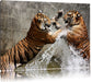 Kämpfende Tiger im Wasser Leinwandbild