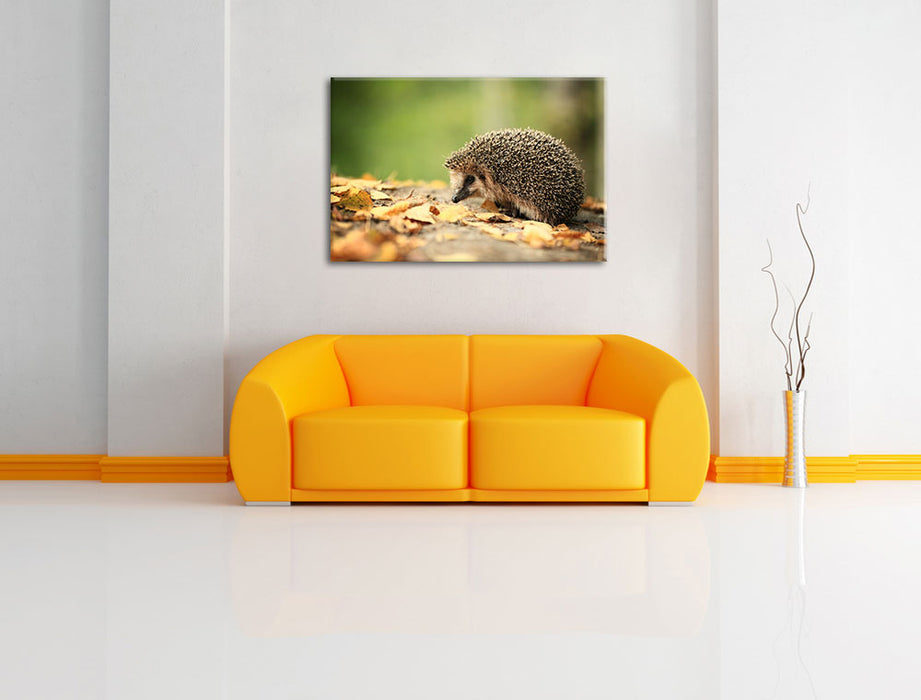 Igel im Laub Leinwandbild über Sofa