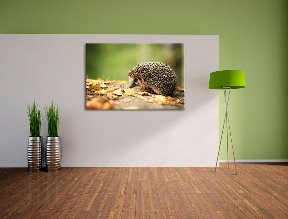 Igel im Laub Leinwandbild im Flur