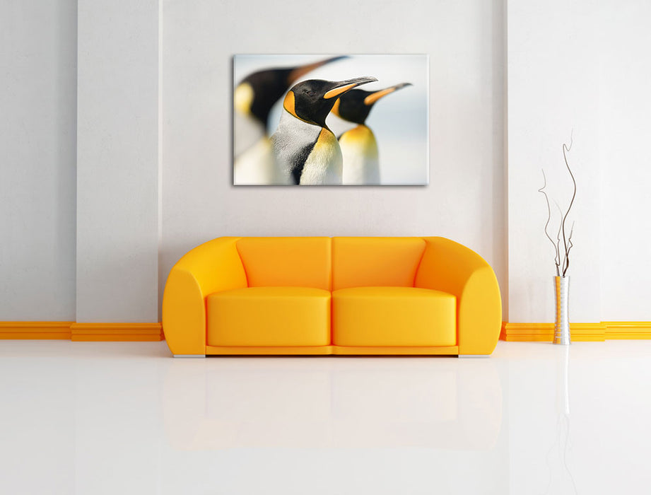 Pinguine Leinwandbild über Sofa