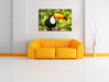 Exotischer Tukan Leinwandbild über Sofa