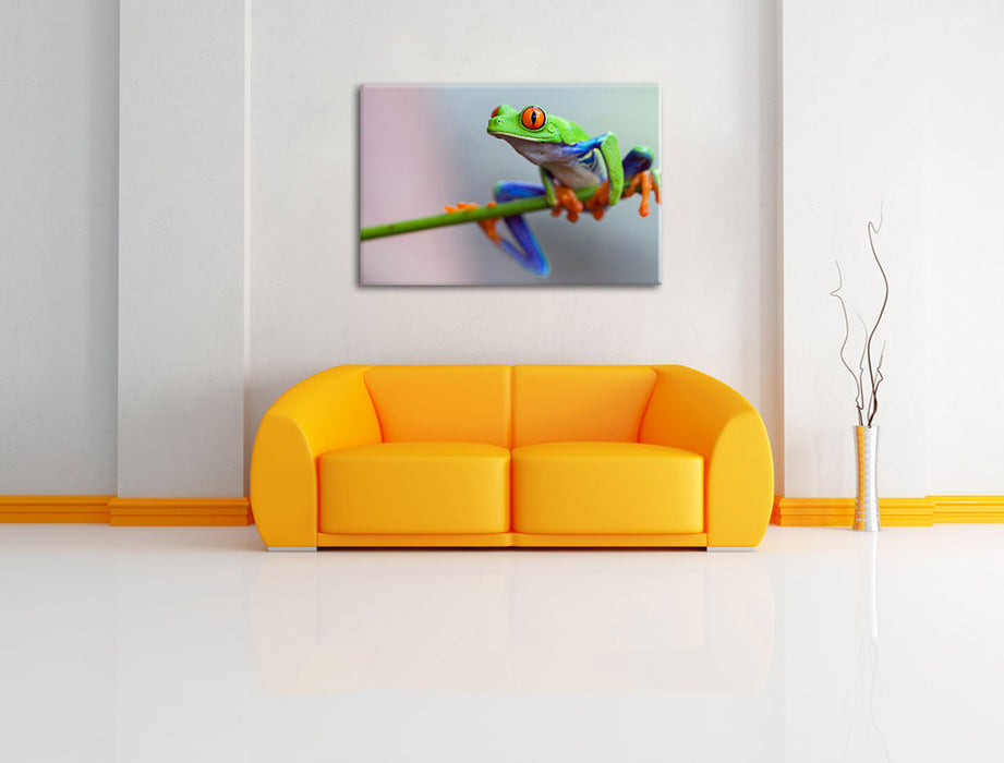 Grüner Frosch auf Ast Leinwandbild über Sofa