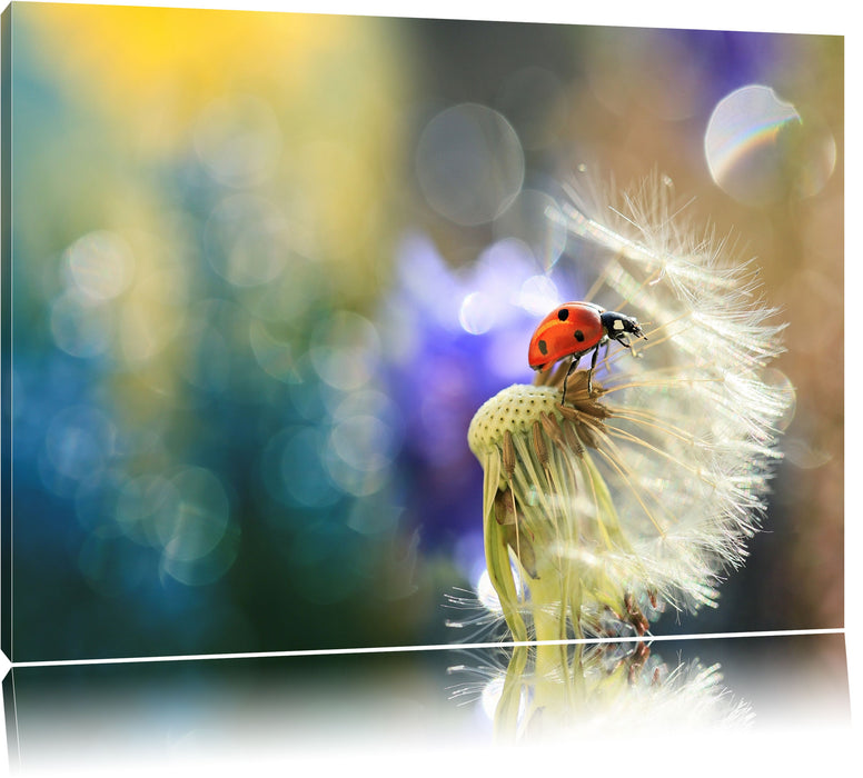 Pixxprint Marienkäfer auf Pusteblume, Leinwandbild