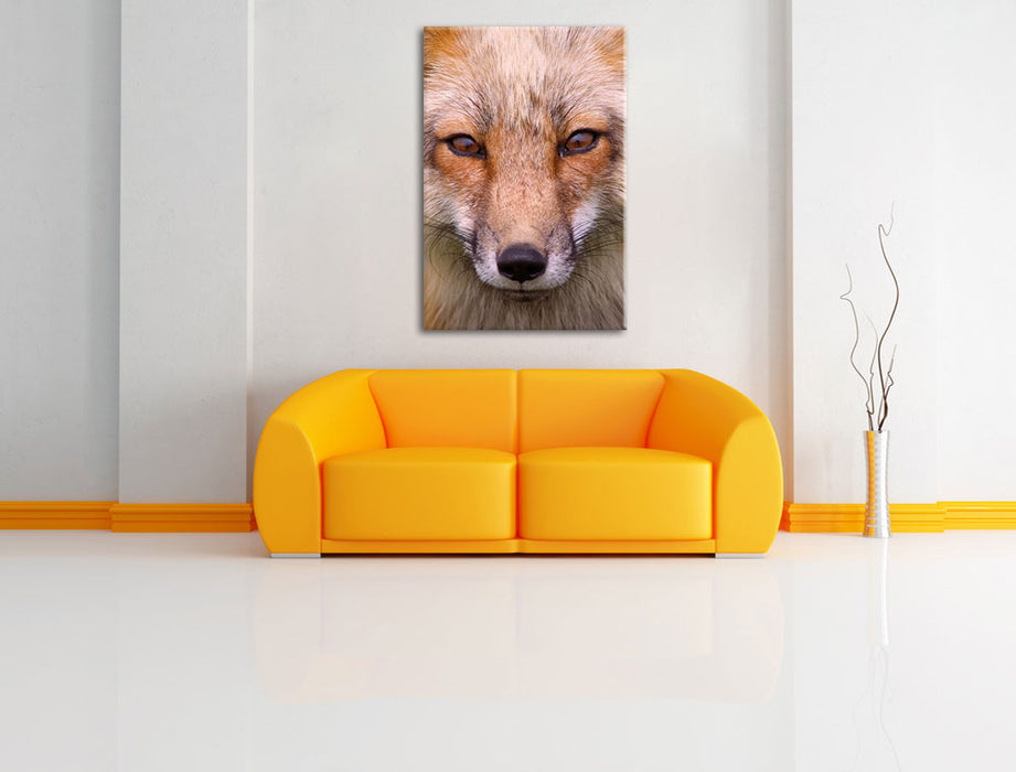 Fuchs Porträ Leinwandbild über Sofa