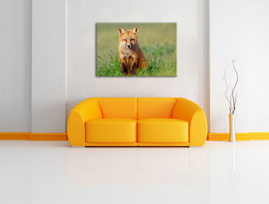 Kleiner Fuchs Leinwandbild über Sofa