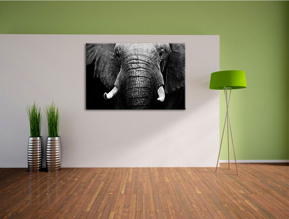 Elefant Porträ Leinwandbild im Flur