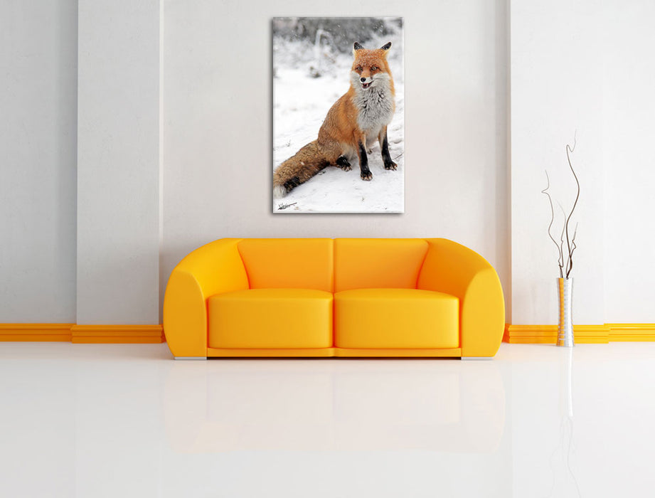 Fuchs im Schnee Leinwandbild über Sofa
