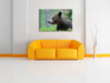 Kleiner Bär Leinwandbild über Sofa