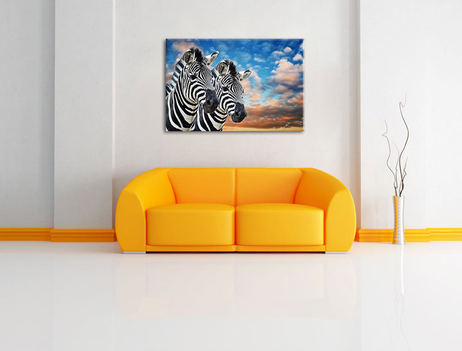 Zebra Pärchen Leinwandbild über Sofa