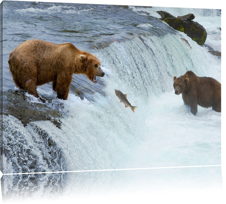 Bären fangen Lachs Leinwandbild