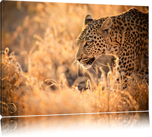 Jagender Leopard Leinwandbild