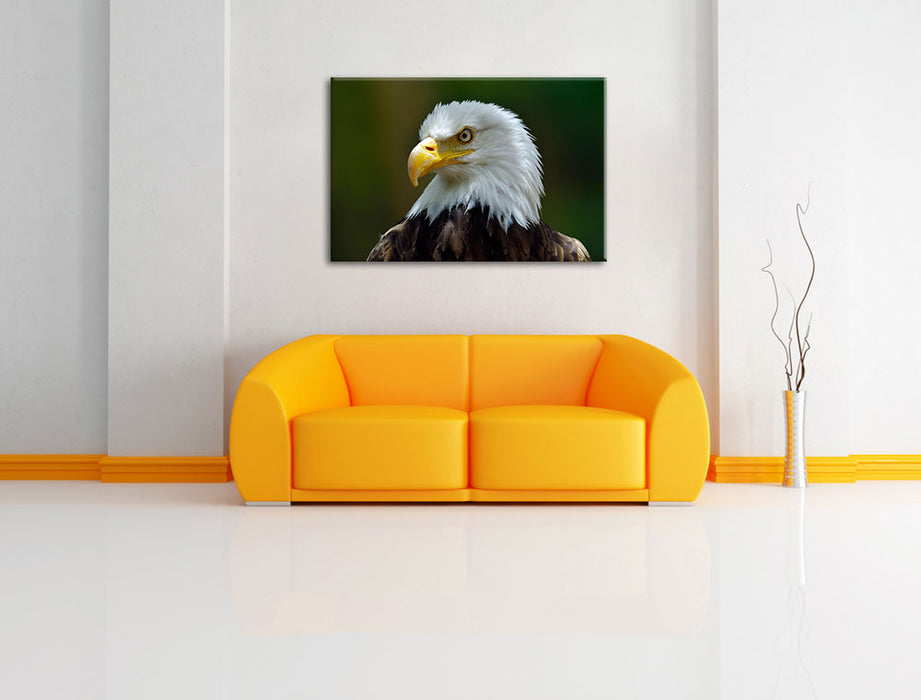 Mächtiger Weißkopfseeadler Leinwandbild über Sofa