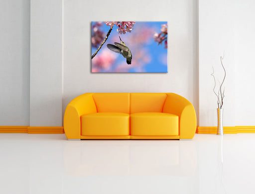 Kolibri an Kirschblüte Leinwandbild über Sofa