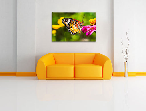 Schmetterling auf Blüte Leinwandbild über Sofa