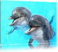 Delfinpaar Leinwandbild