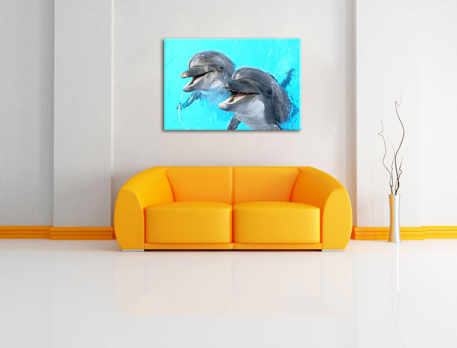 Delfinpaar Leinwandbild über Sofa