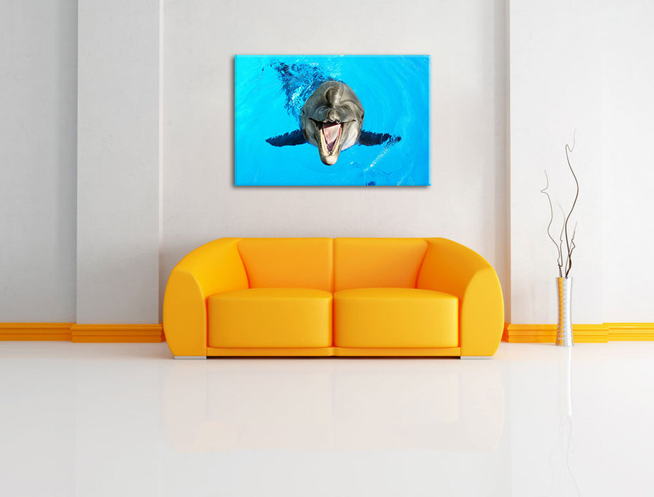 Delfin lacht Leinwandbild über Sofa