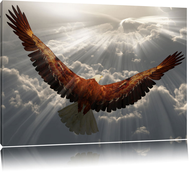 Pixxprint Adler über den Wolken, Leinwandbild