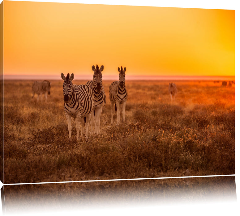 Pixxprint Zebra in der Savanne, Leinwandbild