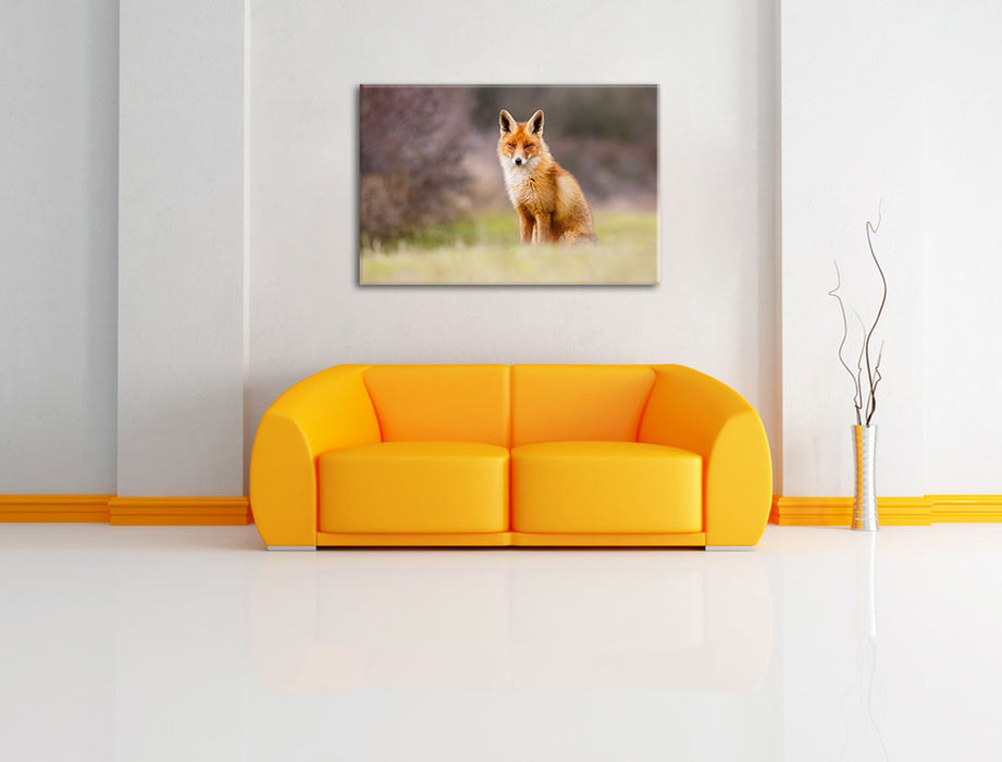 Listiger Fuchs Leinwandbild über Sofa