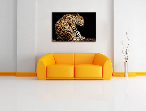 Anmutiger Leopard Leinwandbild über Sofa