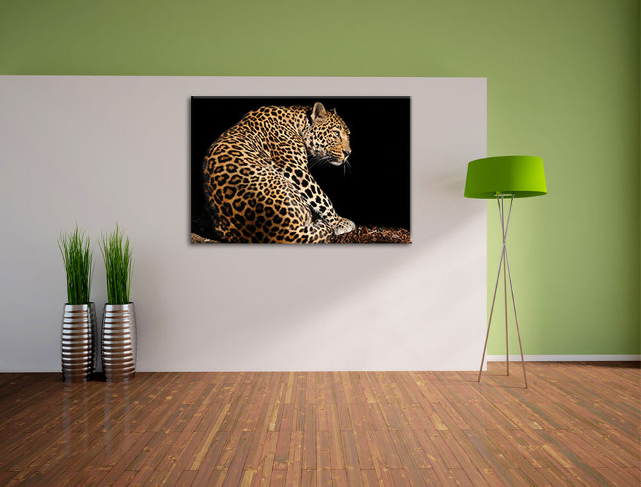 Anmutiger Leopard Leinwandbild im Flur