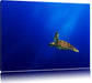 Alte Schildkröte im Meer Leinwandbild