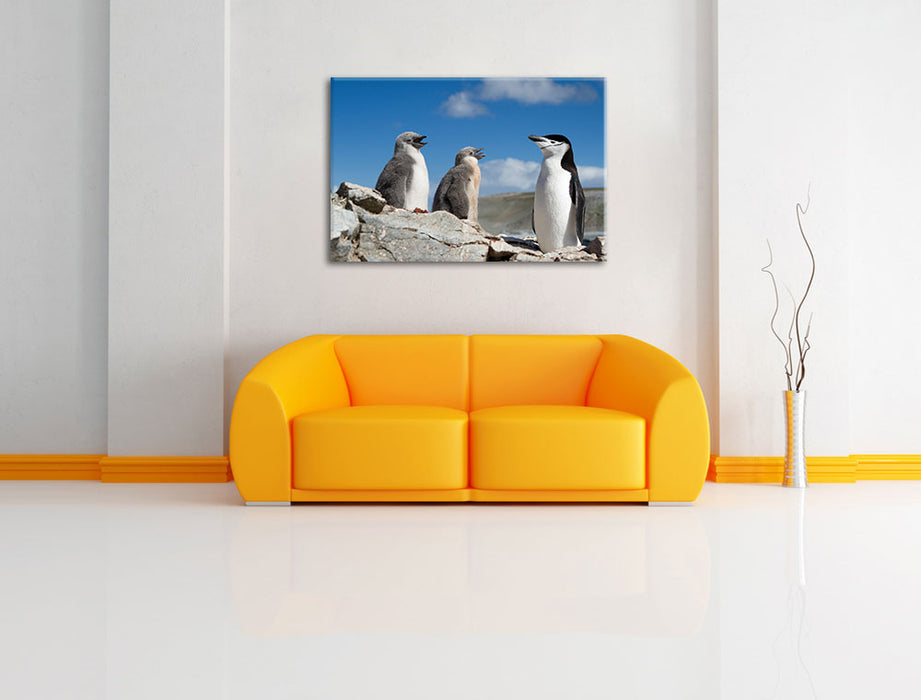 Pinguin mit süßen Küken Leinwandbild über Sofa