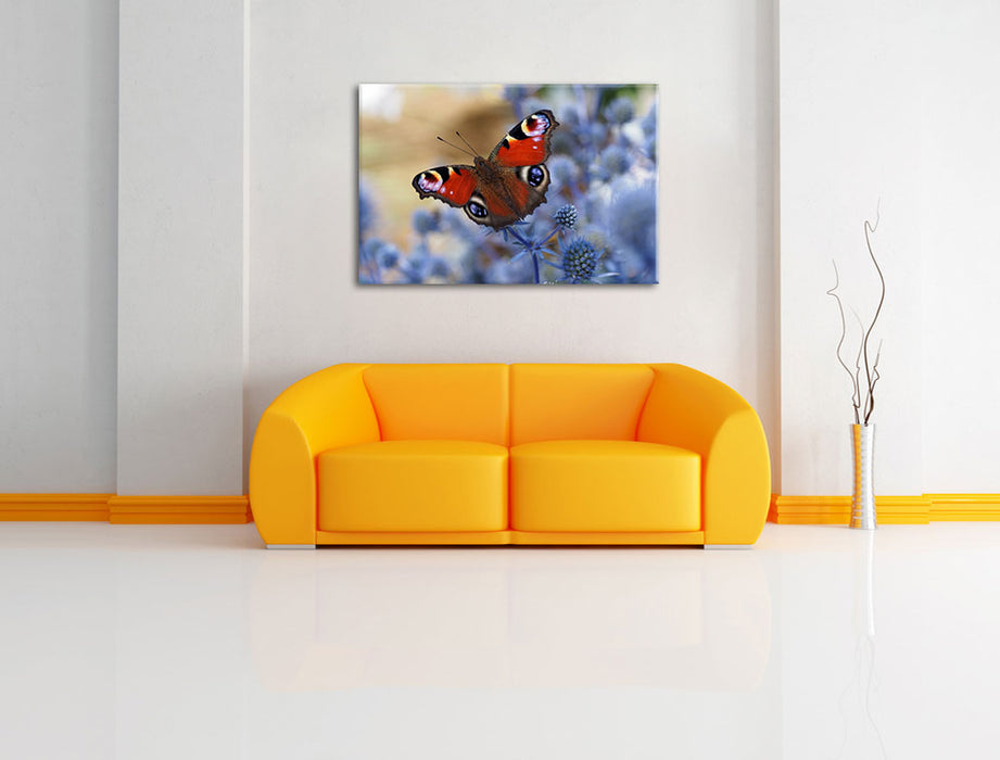 Schöner Schmetterling Pfauenauge Leinwandbild über Sofa