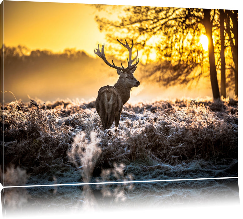 Pixxprint Hirsch im Wald, Leinwandbild