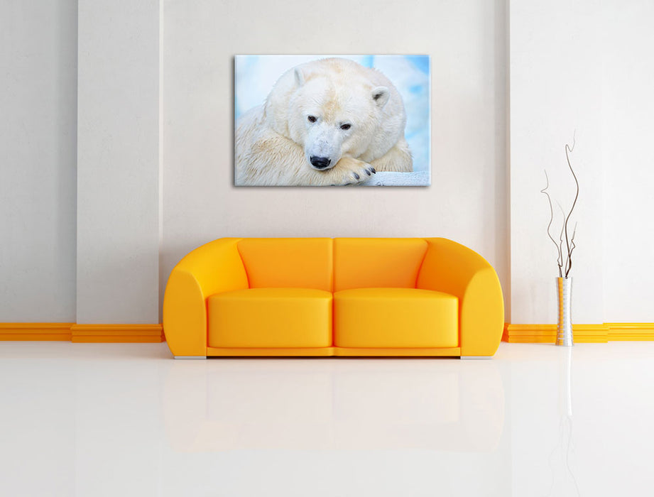 Nachdenklicher Eisbär Leinwandbild über Sofa