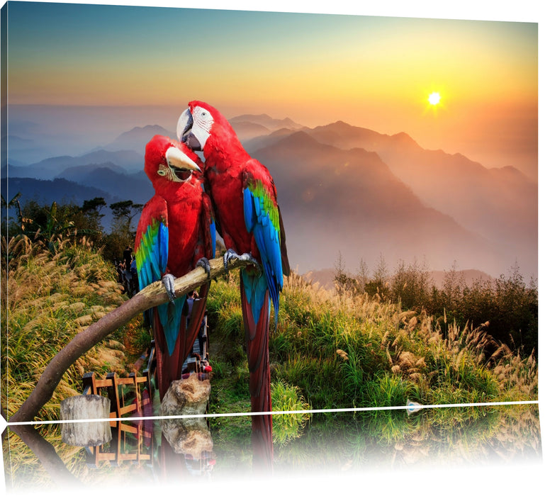 Pixxprint Papageien Pärchen, Leinwandbild