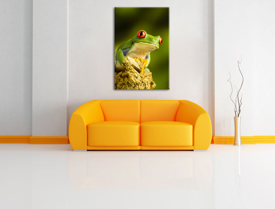 Grüner Rotaugen Frosch Leinwandbild über Sofa