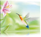 Wunderschöner Kolibri mit Blüte Leinwandbild