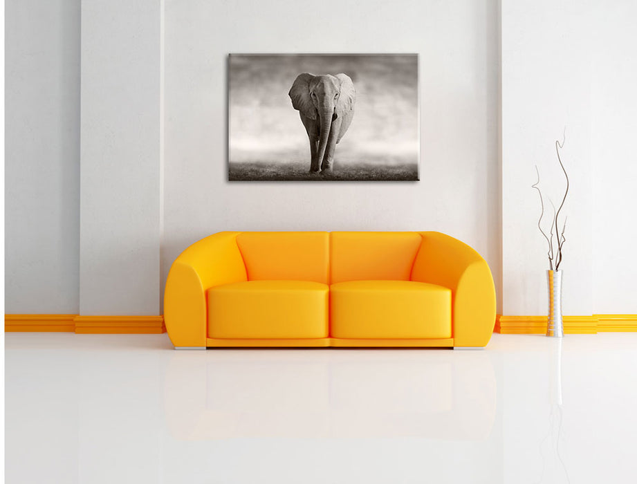 Einsamer Elefant Leinwandbild über Sofa